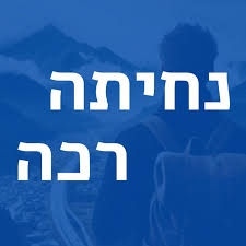 גג